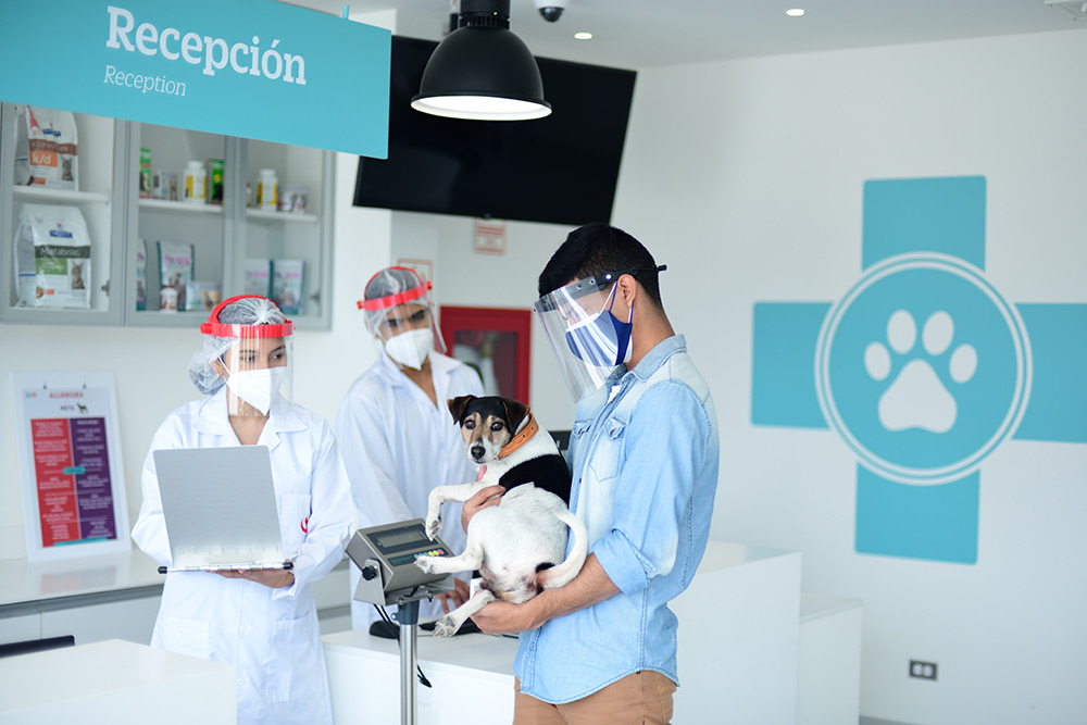 Centro Médico Veterinario